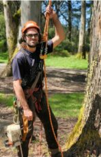 Kerrie Tree Services