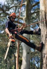 Woodend Tree Services